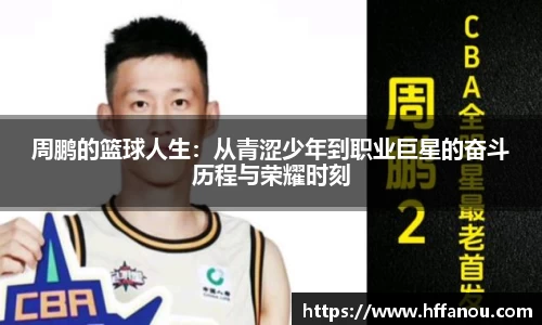 333体育官网